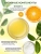 Пилинг-скатка для лица c витамином С Vitamin C Face Peeling Gel PARLI Sendo 50 мл