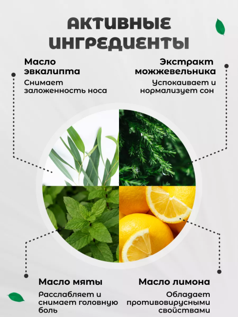Ароматический состав для бани БАНЯ САУНА 285 мл  Ароматический состав для бани БАНЯ САУНА 285 мл