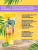 Солнцезащитный крем для лица SUN SCREEN SPF-30 50 мл